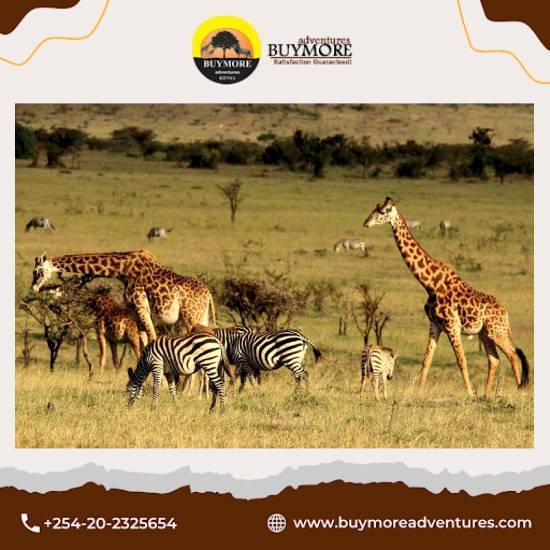 Masai Mara Migration Safari